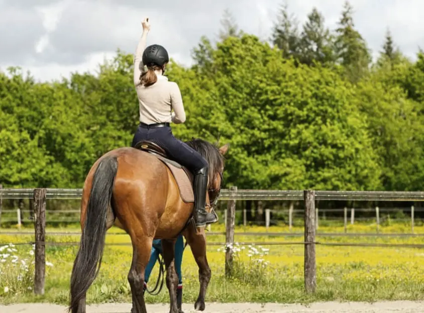 Coach d'équitation indépendant dans la Manche