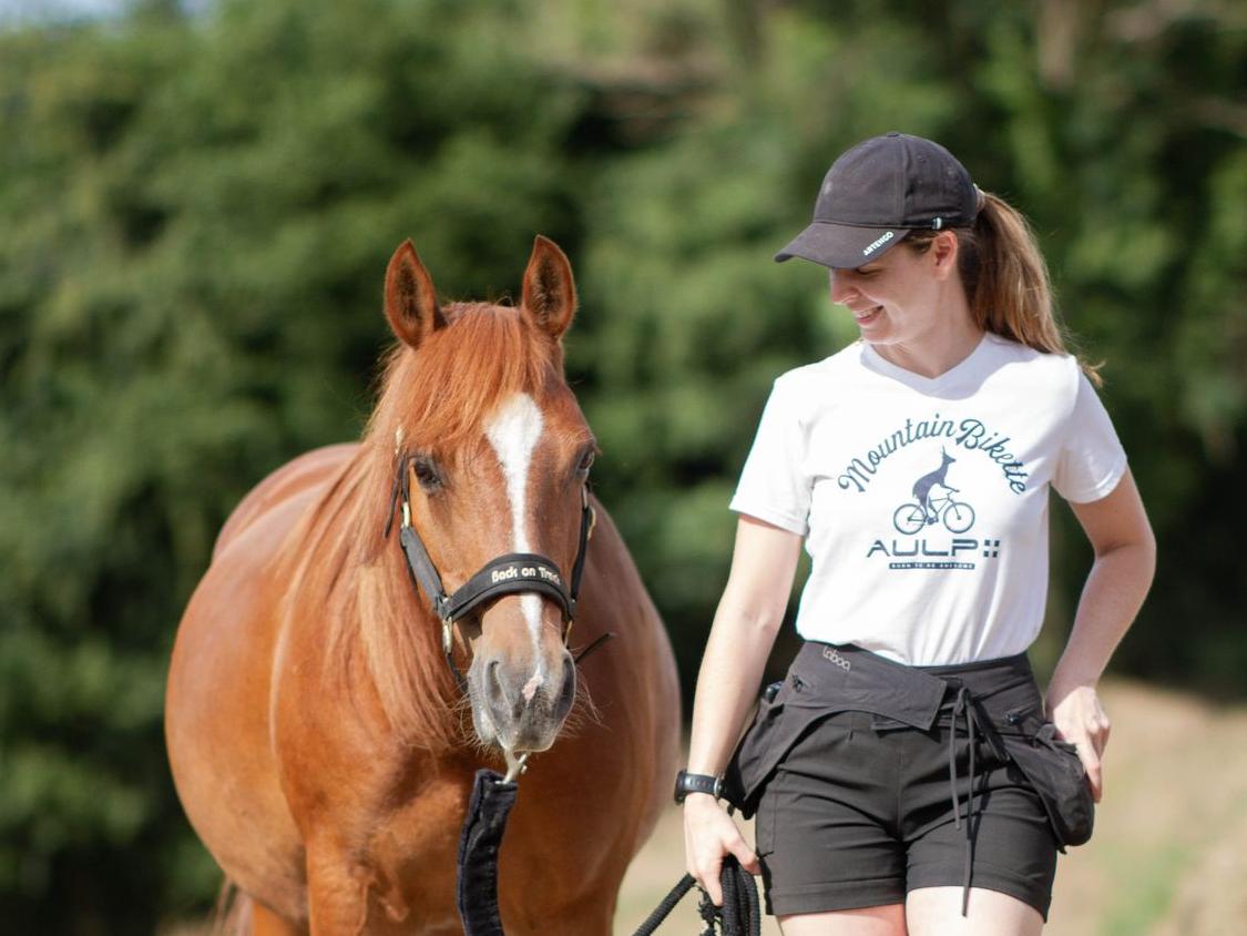 Cours de clicker training et renforcement positif dans la manche